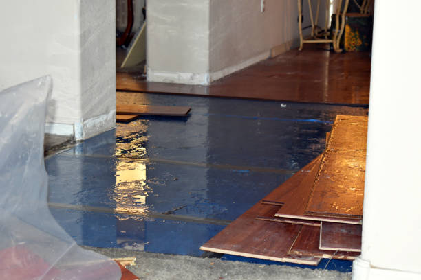 Professional Burst Pipe Water Damage technician working in Kensington, OH